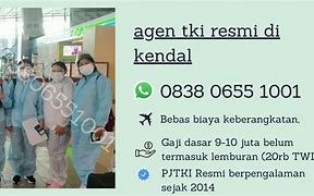 Agen Resmi Mazon B